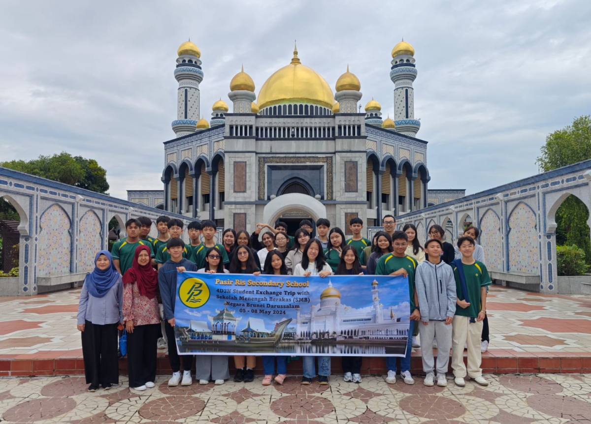 Brunei Twinning 12